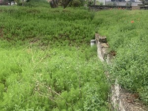上尾市藤波、土地の画像です