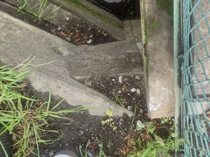 上尾市藤波、土地の画像です