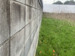 上尾市藤波、土地の画像です