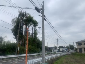上尾市藤波、土地の画像です