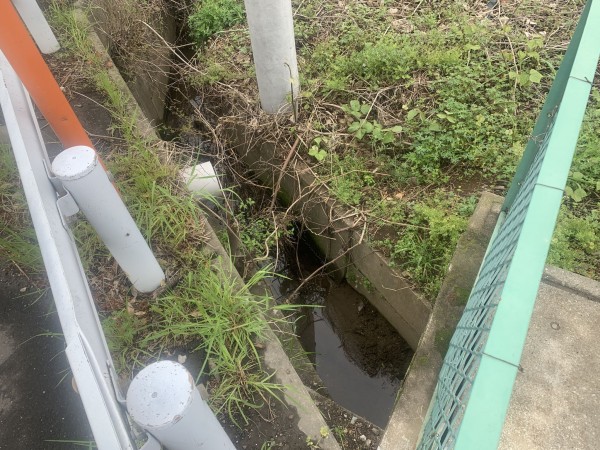 上尾市藤波、土地の画像です