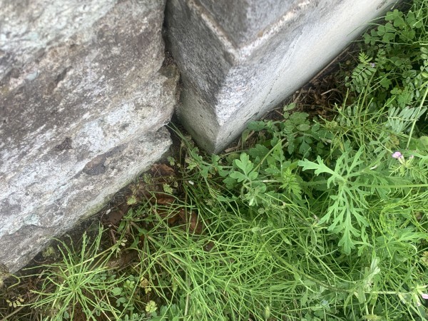 上尾市藤波、土地の画像です
