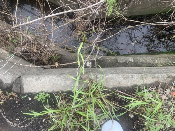 上尾市藤波、土地の画像です