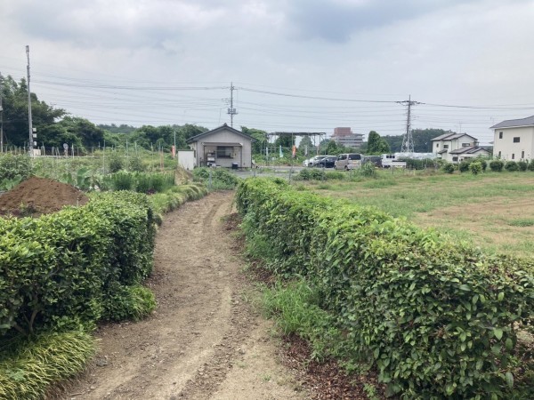 上尾市大字平塚、土地の画像です