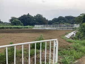 上尾市大字平塚、土地の画像です