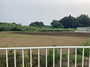 上尾市大字平塚、土地の画像です