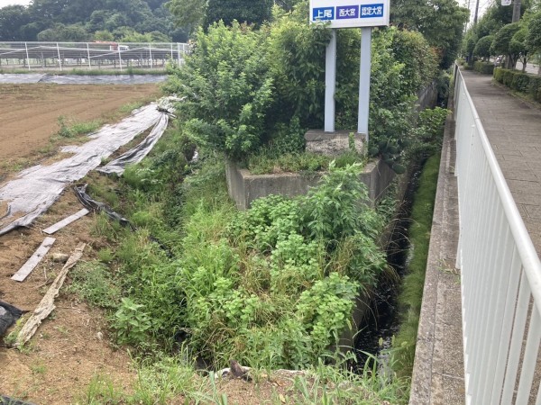 上尾市大字平塚、土地の画像です