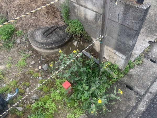 上尾市井戸木、土地の画像です