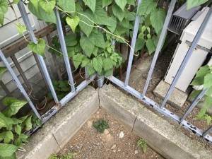 上尾市大字原市、土地の画像です