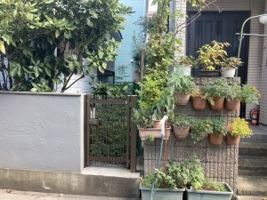 上尾市大字上尾村、土地の画像です