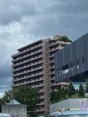 熊本市中央区大江、マンションの画像です