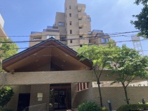 熊本市中央区国府、マンションの画像です