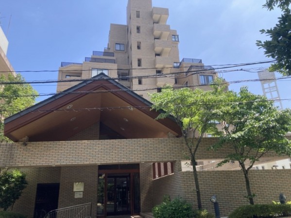 熊本市中央区国府、マンションの画像です