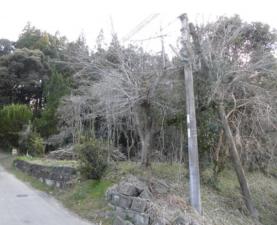 熊本市南区城南町塚原、土地の画像です