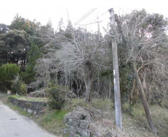 熊本市南区城南町塚原、土地の画像です