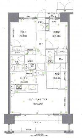 熊本市中央区南熊本、マンションの間取り画像です