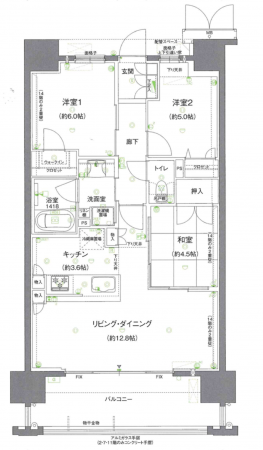 熊本市中央区南熊本、マンションの間取り画像です