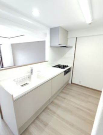 熊本市中央区国府、マンションの画像です