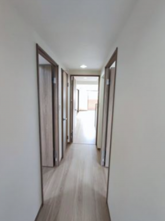 熊本市中央区国府、マンションの画像です