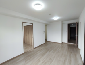 熊本市中央区薬園町、マンションの画像です