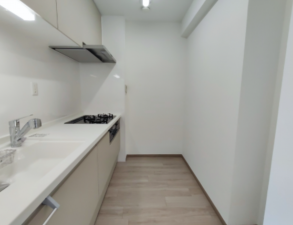 熊本市中央区薬園町、マンションの画像です