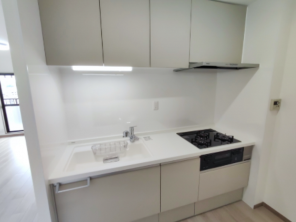 熊本市中央区薬園町、マンションの画像です