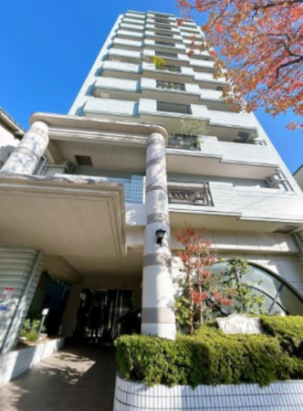 熊本市中央区新町、マンションの外観画像です