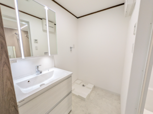 熊本市東区健軍本町、マンションの洗面画像です