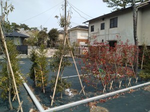 藤沢市鵠沼松が岡、土地の画像です