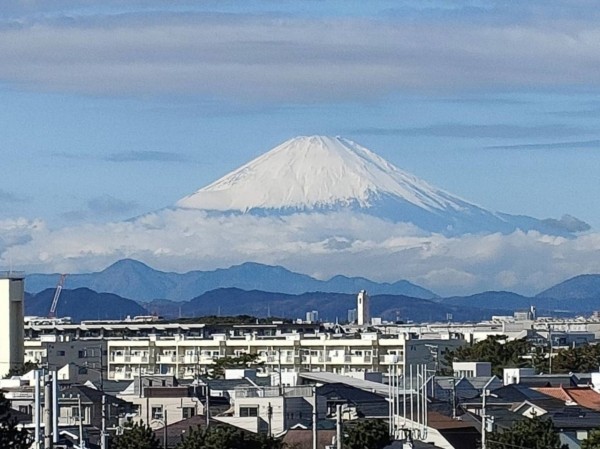 藤沢市鵠沼海岸、マンションのその他画像です