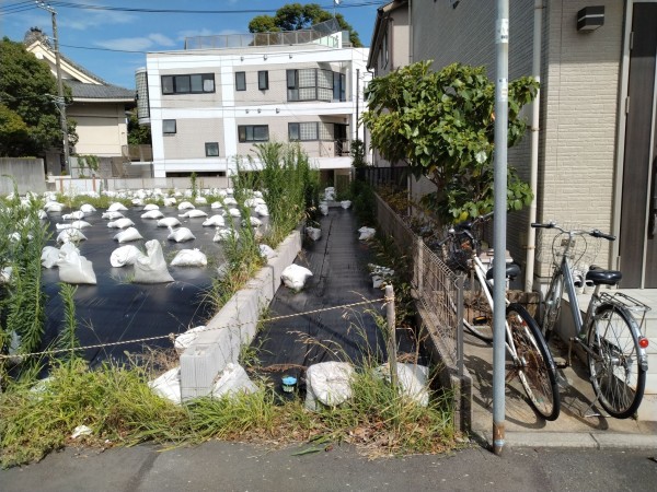 藤沢市鵠沼桜が岡、土地の画像です