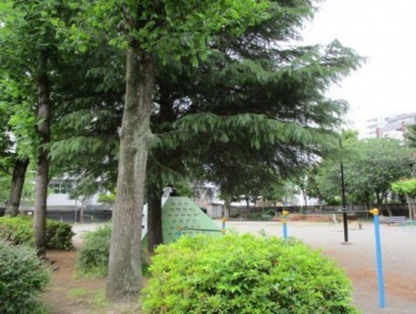 藤沢市藤沢、土地の公園画像です