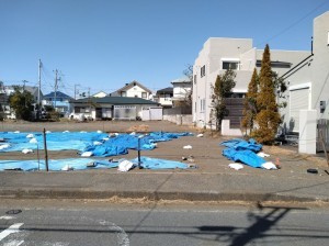 藤沢市辻堂東海岸、土地の画像です