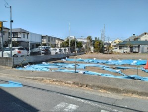 藤沢市辻堂東海岸、土地の画像です
