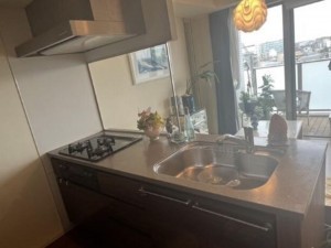 藤沢市片瀬海岸、マンションの画像です