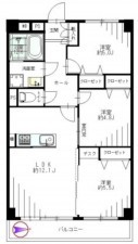 藤沢市藤沢、マンションの間取り画像です