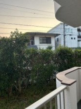 藤沢市弥勒寺、マンションの画像です