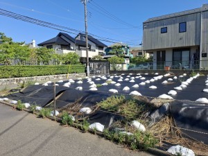 藤沢市鵠沼松が岡、土地の画像です