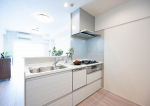藤沢市片瀬海岸、マンションの画像です