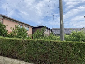 西尾市東幡豆町、土地の画像です