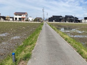 西尾市一色町一色、土地の画像です
