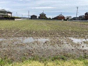 西尾市一色町一色、土地の画像です
