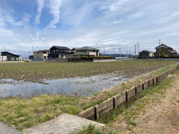 西尾市一色町一色、土地の画像です