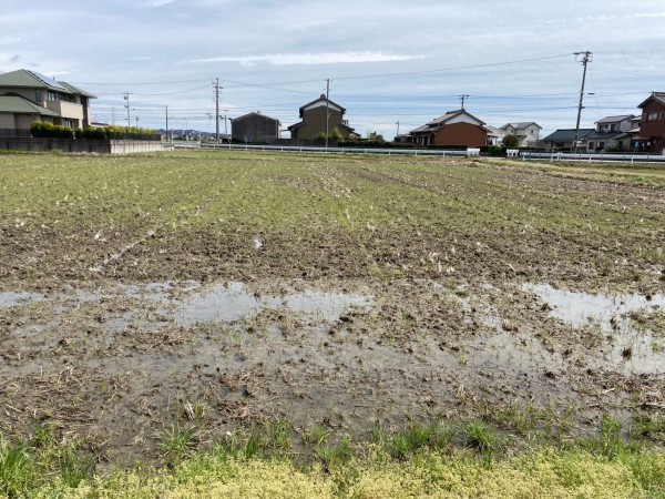 西尾市一色町一色、土地の画像です