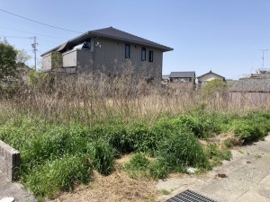 西尾市一色町一色、土地の外観画像です