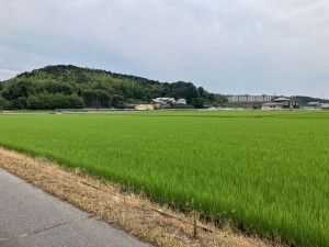 西尾市上羽角町、土地の外観画像です