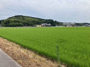 西尾市上羽角町、土地の外観画像です