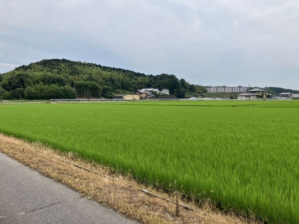 西尾市上羽角町、土地の外観画像です