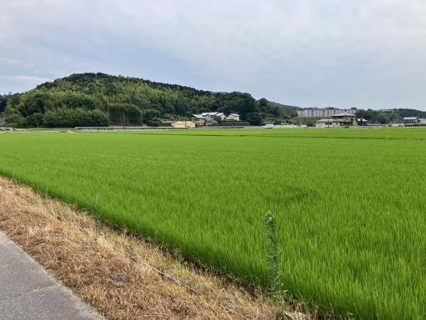 西尾市上羽角町、土地の外観画像です