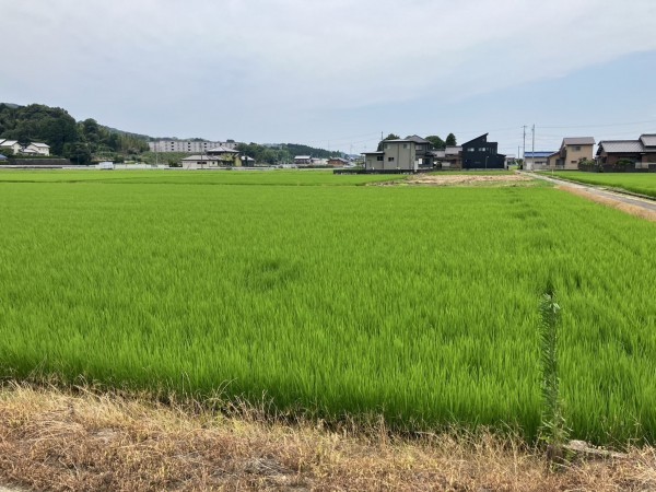 西尾市上羽角町、土地の外観画像です